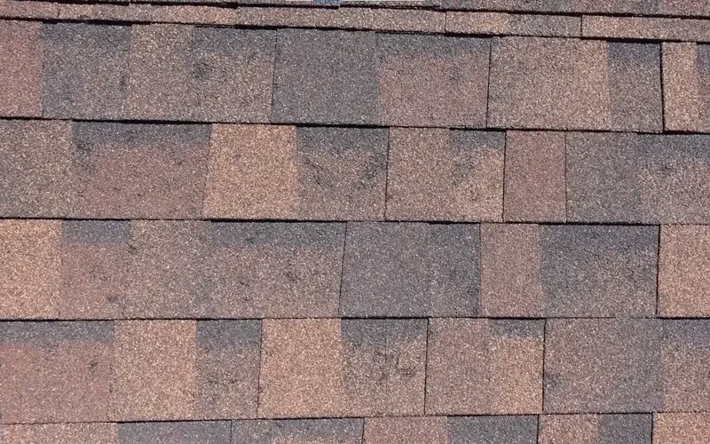 Close-up of hail-damaged asphalt shingles on a Spring, TX roof needing storm damage repair